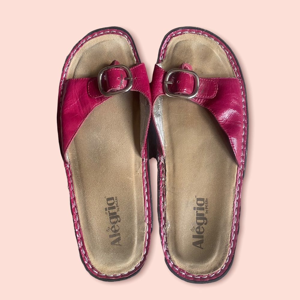 Alegria shoes. GUC. Size 40 (9.5/10)